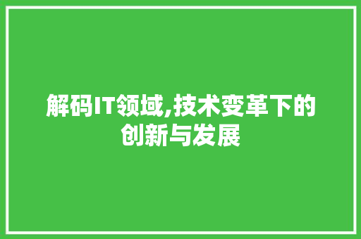解码IT领域,技术变革下的创新与发展