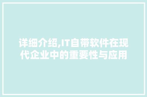 详细介绍,IT自带软件在现代企业中的重要性与应用 神马SEO