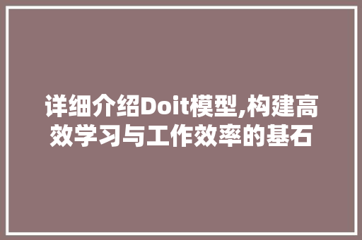 详细介绍Doit模型,构建高效学习与工作效率的基石 搜狗SEO
