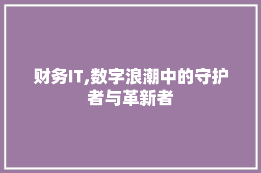 财务IT,数字浪潮中的守护者与革新者 网站建设公司