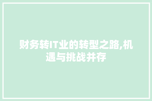 财务转IT业的转型之路,机遇与挑战并存
