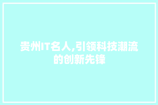 贵州IT名人,引领科技潮流的创新先锋 必应SEO