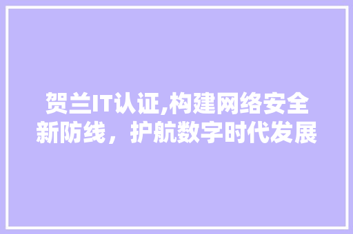 贺兰IT认证,构建网络安全新防线，护航数字时代发展 网站建设公司