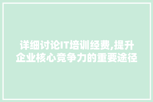 详细讨论IT培训经费,提升企业核心竞争力的重要途径 SEO关键词