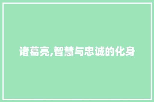 诸葛亮,智慧与忠诚的化身 必应SEO