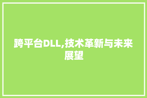 跨平台DLL,技术革新与未来展望
