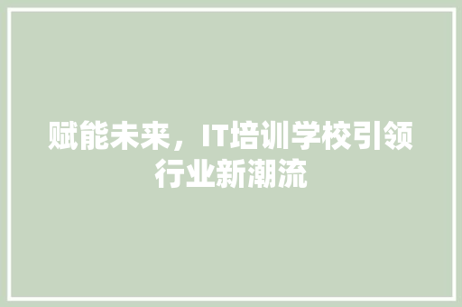 赋能未来，IT培训学校引领行业新潮流 神马SEO