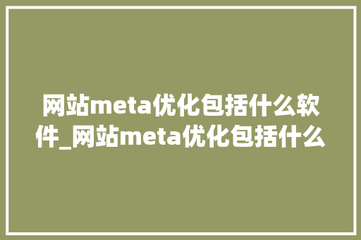 网站meta优化包括什么软件_网站meta优化包括什么软件操作。