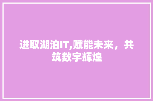 进取湖泊IT,赋能未来，共筑数字辉煌 SEO关键词