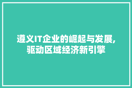 遵义IT企业的崛起与发展,驱动区域经济新引擎 必应SEO