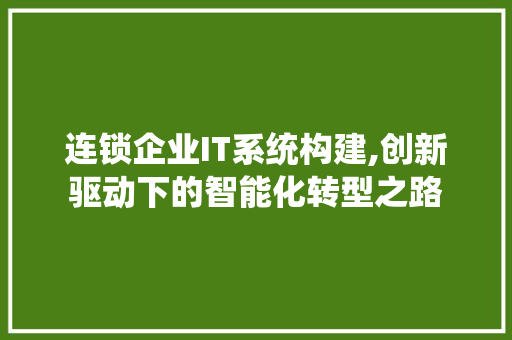 连锁企业IT系统构建,创新驱动下的智能化转型之路 必应SEO