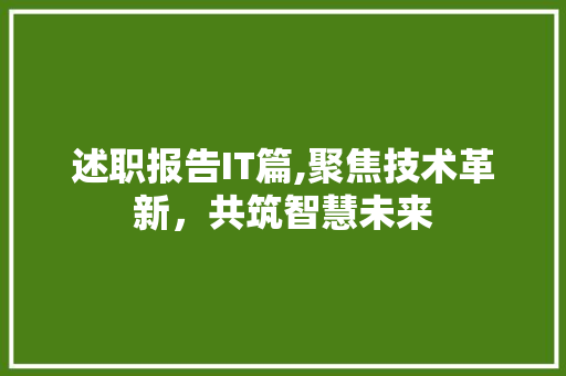 述职报告IT篇,聚焦技术革新，共筑智慧未来 搜狗SEO