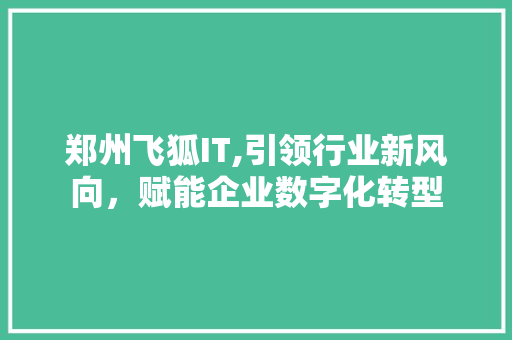 郑州飞狐IT,引领行业新风向，赋能企业数字化转型
