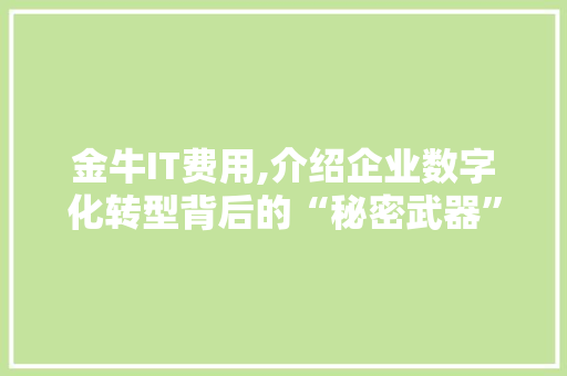 金牛IT费用,介绍企业数字化转型背后的“秘密武器” 神马SEO