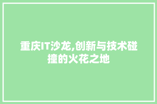 重庆IT沙龙,创新与技术碰撞的火花之地
