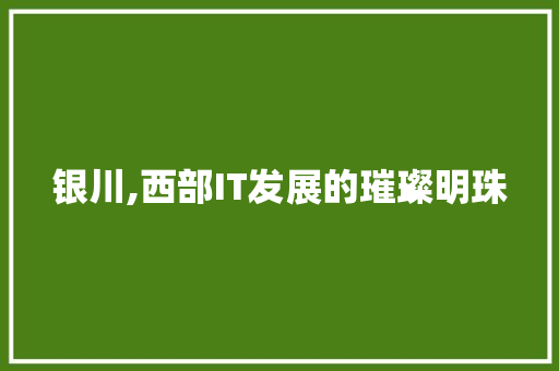 银川,西部IT发展的璀璨明珠