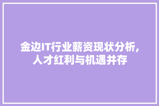 金边IT行业薪资现状分析,人才红利与机遇并存