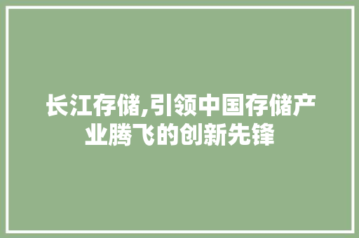 长江存储,引领中国存储产业腾飞的创新先锋