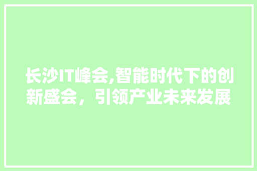 长沙IT峰会,智能时代下的创新盛会，引领产业未来发展趋势