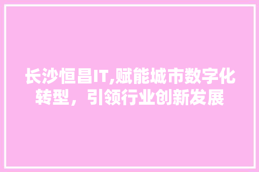 长沙恒昌IT,赋能城市数字化转型，引领行业创新发展 必应SEO