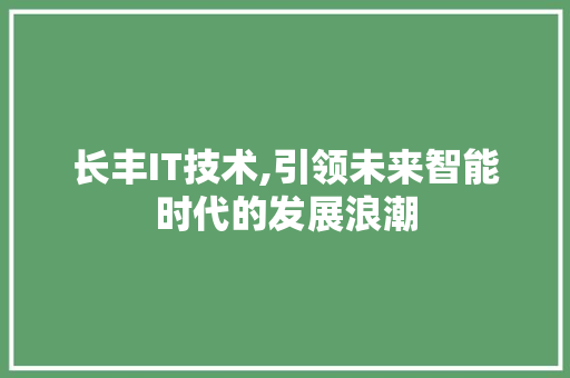 长丰IT技术,引领未来智能时代的发展浪潮 神马SEO