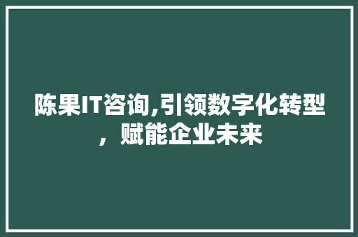 陈果IT咨询,引领数字化转型，赋能企业未来