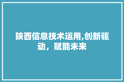 陕西信息技术运用,创新驱动，赋能未来
