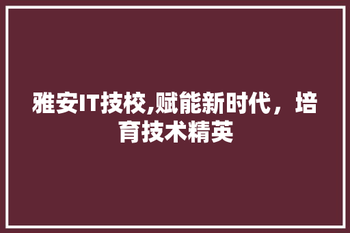 雅安IT技校,赋能新时代，培育技术精英 网站建设公司