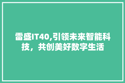 雷盛IT40,引领未来智能科技，共创美好数字生活