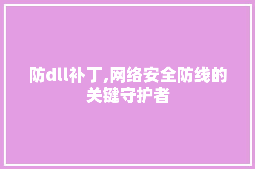 防dll补丁,网络安全防线的关键守护者