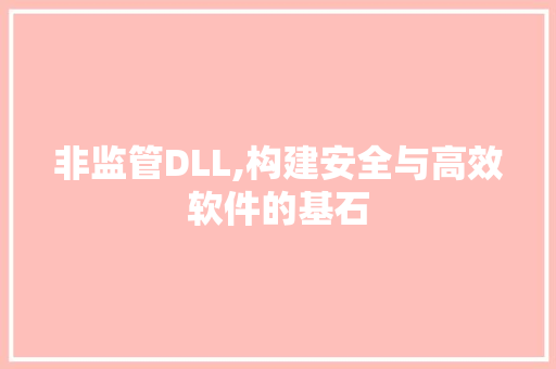非监管DLL,构建安全与高效软件的基石 网站建设公司
