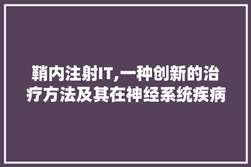 鞘内注射IT,一种创新的治疗方法及其在神经系统疾病中的应用 网站建设公司