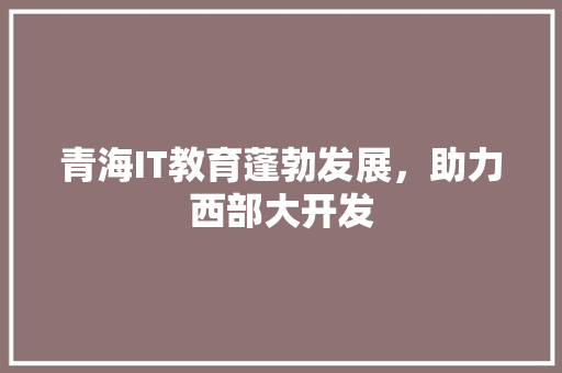 青海IT教育蓬勃发展，助力西部大开发 SEO关键词