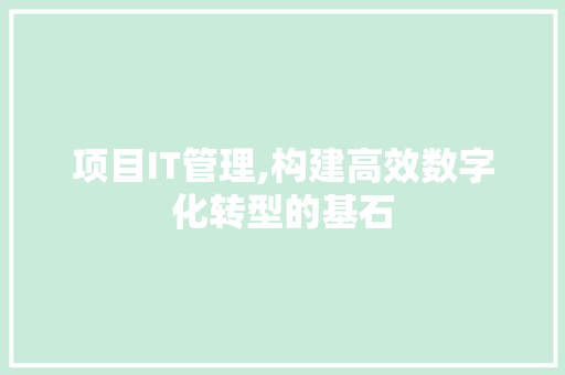 项目IT管理,构建高效数字化转型的基石 搜狗SEO