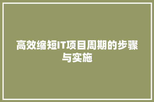 高效缩短IT项目周期的步骤与实施 必应SEO