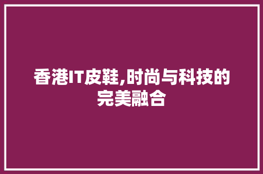 香港IT皮鞋,时尚与科技的完美融合 神马SEO