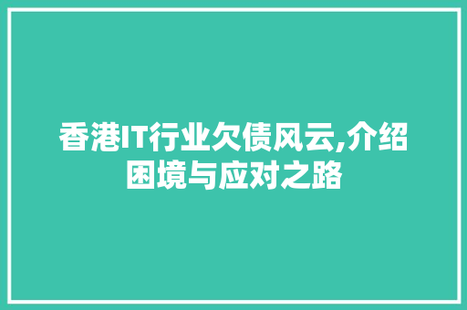 香港IT行业欠债风云,介绍困境与应对之路
