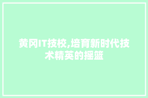 黄冈IT技校,培育新时代技术精英的摇篮 神马SEO