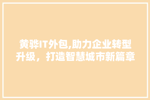 黄骅IT外包,助力企业转型升级，打造智慧城市新篇章 神马SEO