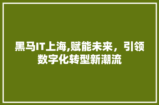 黑马IT上海,赋能未来，引领数字化转型新潮流