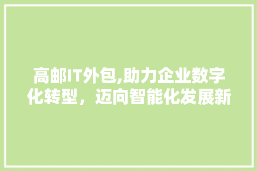 高邮IT外包,助力企业数字化转型，迈向智能化发展新篇章 必应SEO