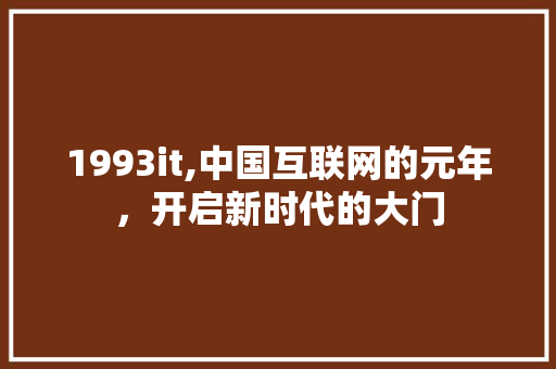 1993it,中国互联网的元年，开启新时代的大门 神马SEO