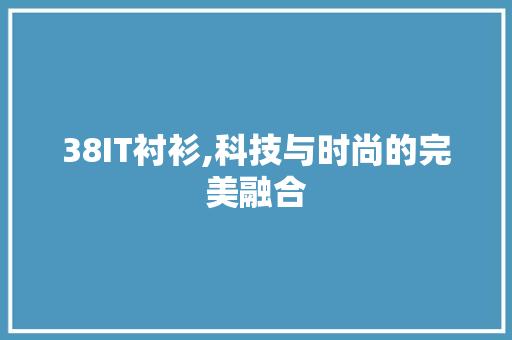 38IT衬衫,科技与时尚的完美融合
