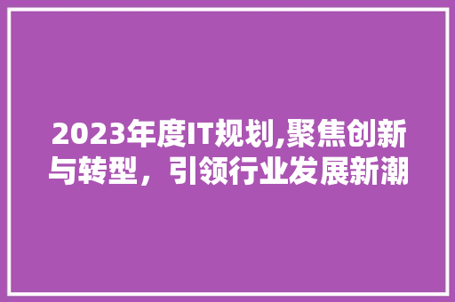 2023年度IT规划,聚焦创新与转型，引领行业发展新潮流