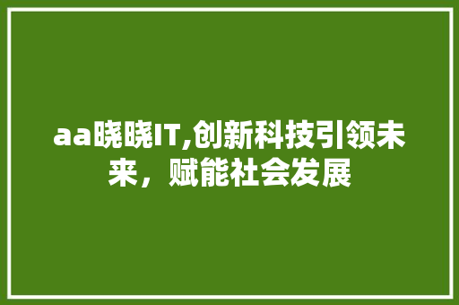 aa晓晓IT,创新科技引领未来，赋能社会发展 神马SEO