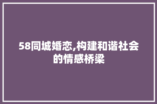 58同城婚恋,构建和谐社会的情感桥梁