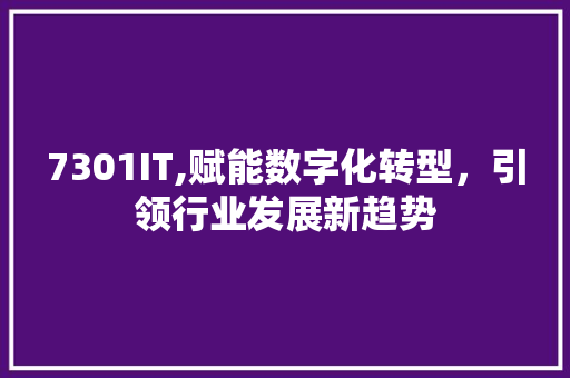 7301IT,赋能数字化转型，引领行业发展新趋势