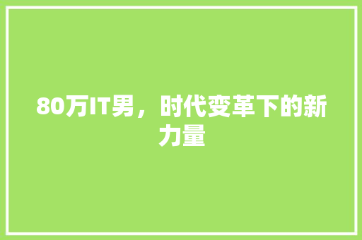 80万IT男，时代变革下的新力量 网站建设公司