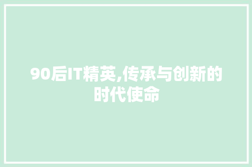 90后IT精英,传承与创新的时代使命 搜狗SEO