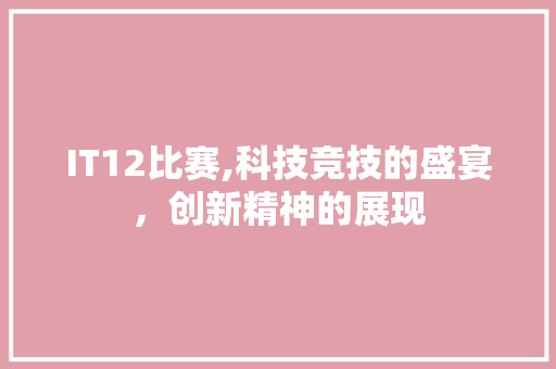 IT12比赛,科技竞技的盛宴，创新精神的展现